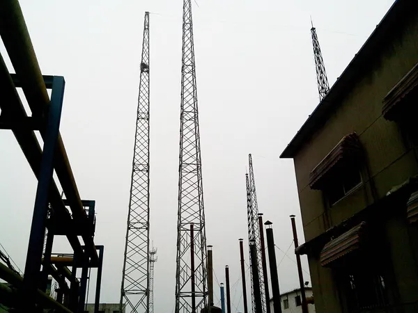 10米gfl系列避雷