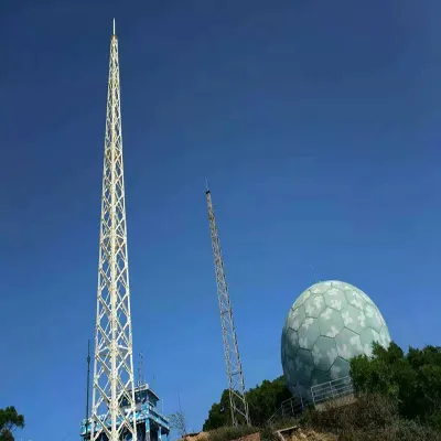 10米gfl系列避雷