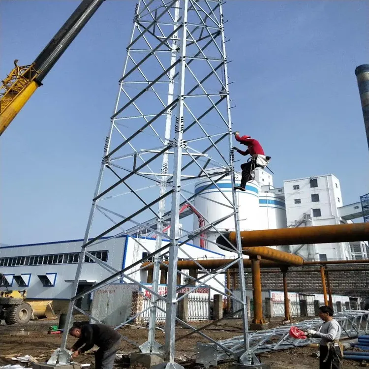 110kv变电站避雷