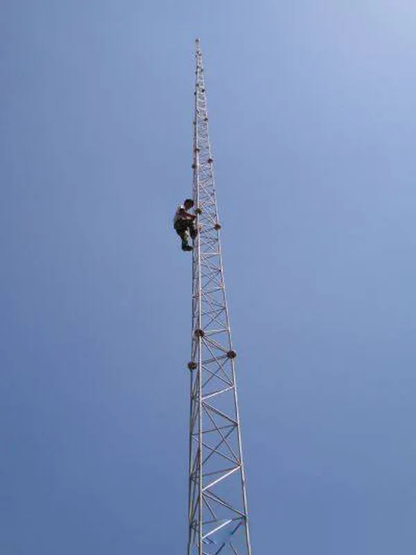 12米gfl系列避雷