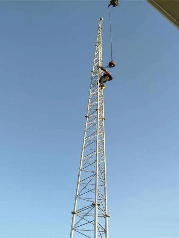 12米gh避雷塔规格