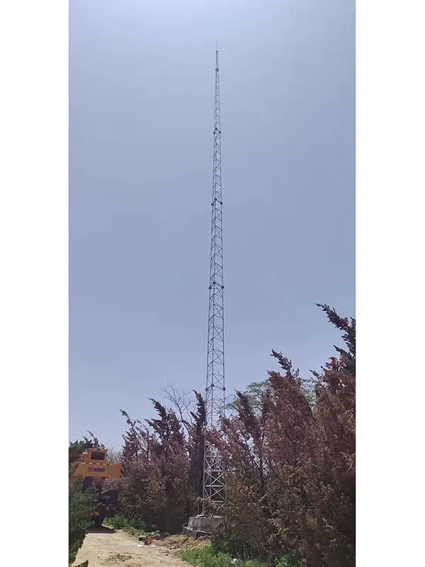 12米避雷线塔规格