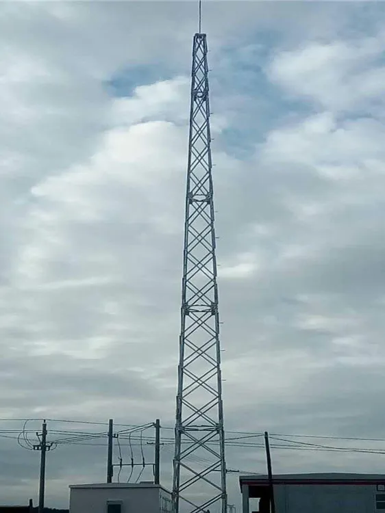 12米避雷线塔生产基