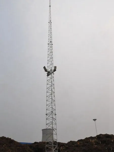 12米避雷线塔型号