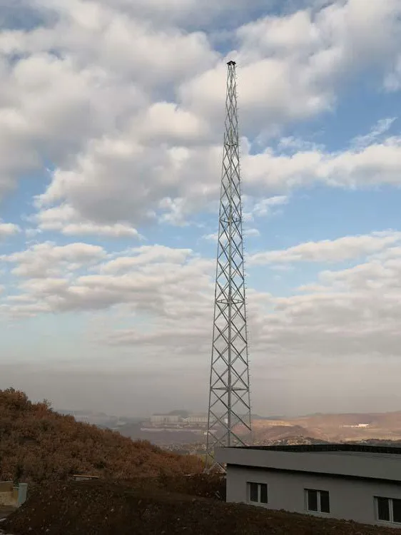 12米楼顶避雷塔型号