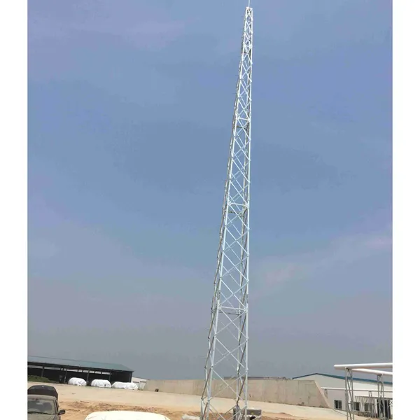 15米避雷塔设备安装