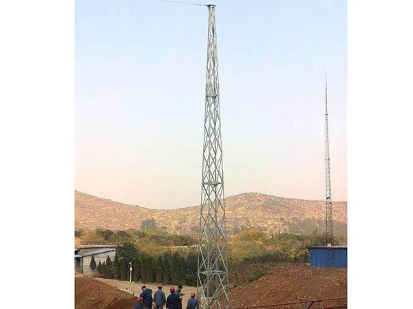 克拉玛依避雷塔厂家