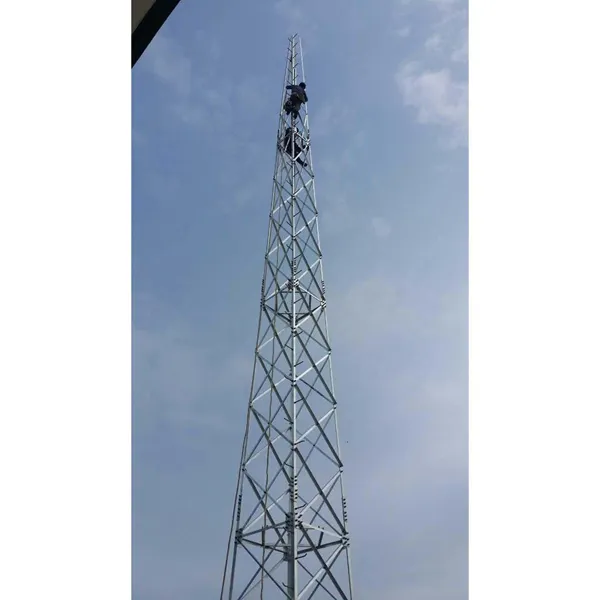 口碑好避雷塔商家