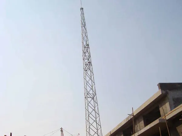 广东仿生树避雷塔厂家