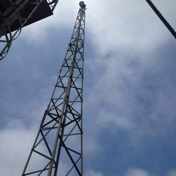 西藏装饰避雷塔厂家
