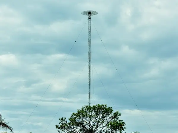 边境安防监控塔图纸深化与定制：抗12级强风(包通过验收)