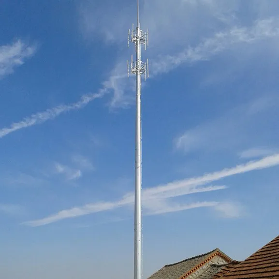 蓝莓信号塔图片