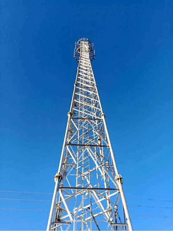 兰州仿生树通讯塔供应