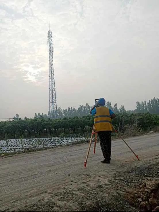 兰州仿生树通信塔价格