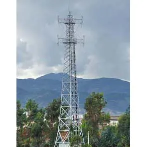 小区楼上装信号塔