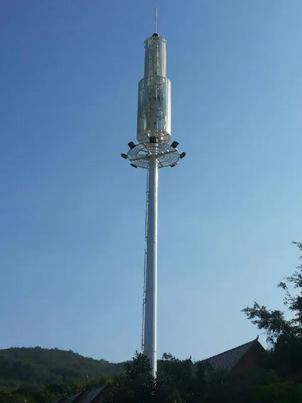 小区楼后面后信号塔