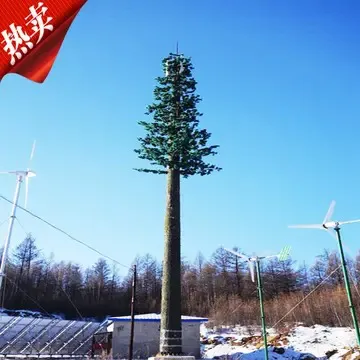 小区楼顶放信号塔