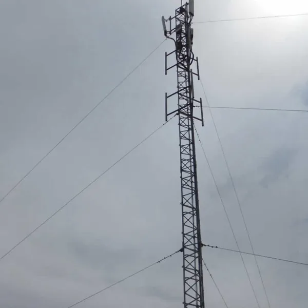 小区里有个信号塔