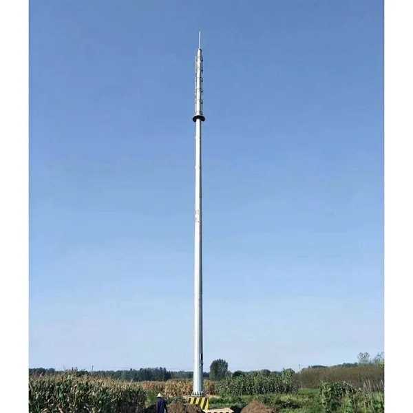 小区里建联通信号塔