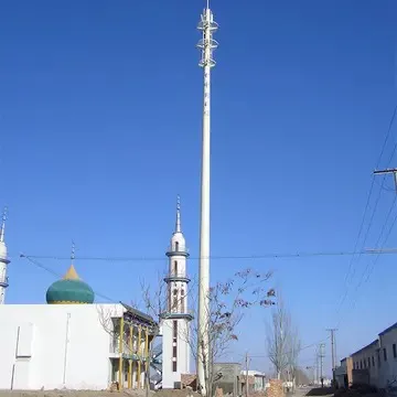 小区后面装了信号塔