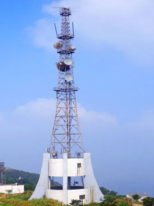 小区东侧墙外立了信号