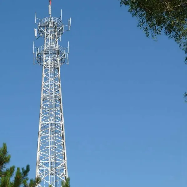 领秀慧谷小区楼顶安装信号发射塔