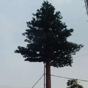 临渭区移动5g信号塔公示