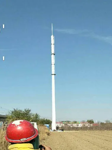 烈士塔扫墓通讯报道