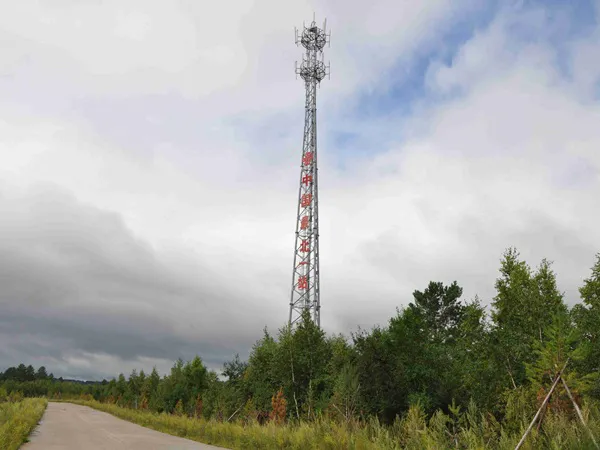 聊城移动公司信号塔