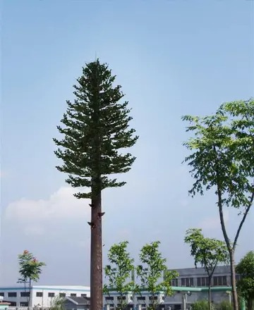 通讯塔检查维护
