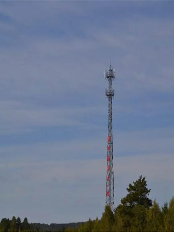 辽宁监控信号塔生产基地