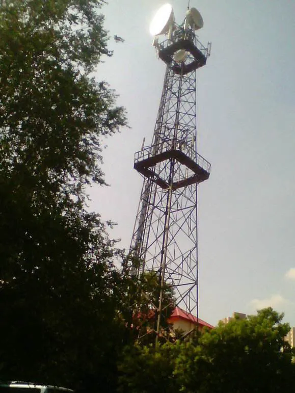 江西樟树店下镇联通信号塔