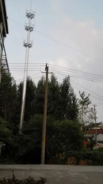 内蒙古通信塔仿生树