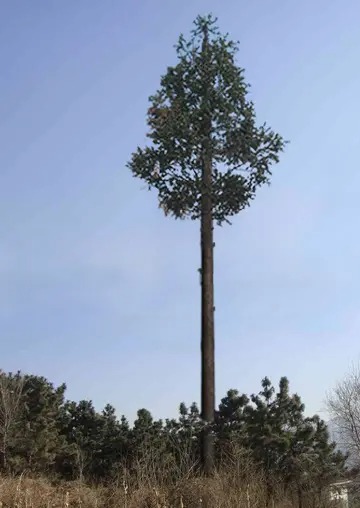通讯塔钢管桩施工方案