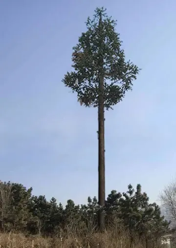 内蒙古35米监控信号