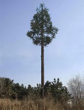 移动和联通信号塔那个