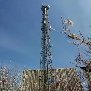 交警队的发射信号塔