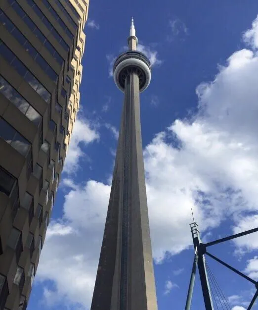 江西通信塔仿生树型号