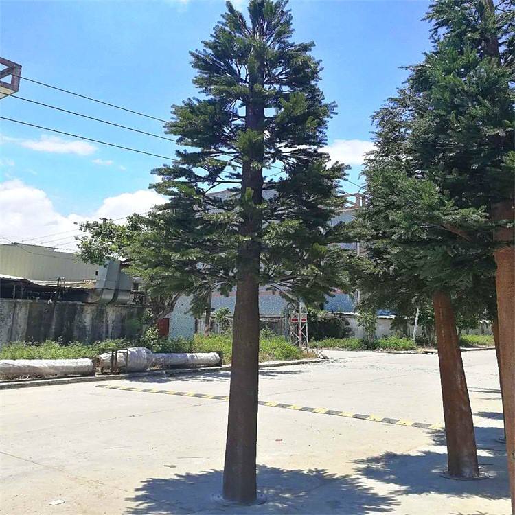 移动信号塔越近信号越
