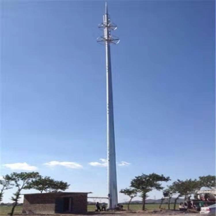 移动信号塔建校园内