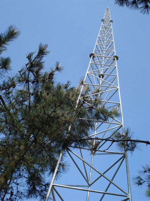 公园仿生树避雷塔接地