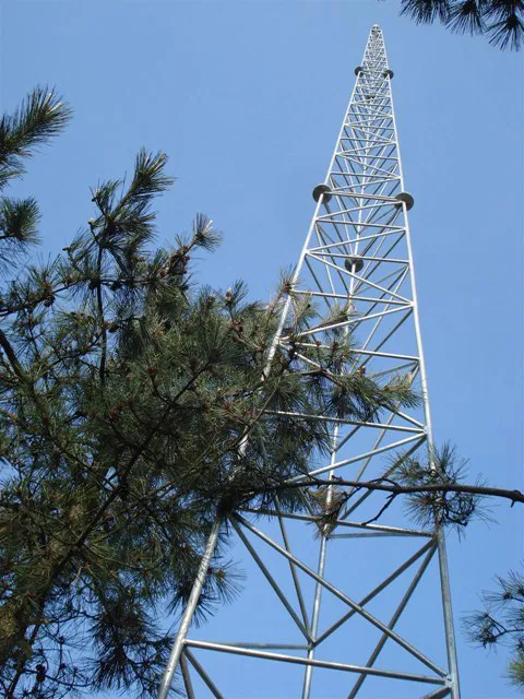 公园仿生树避雷塔接地电阻的要求