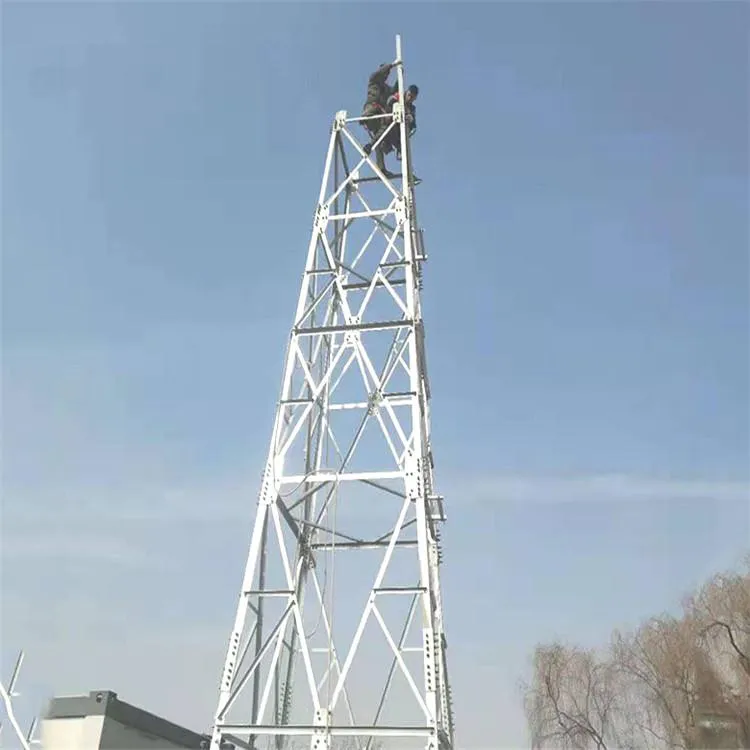 5米草原监控塔价格