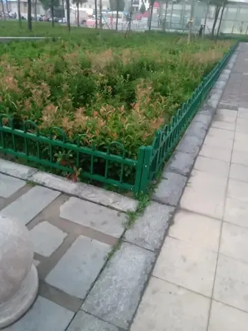 山东高速公路护栏更换项目